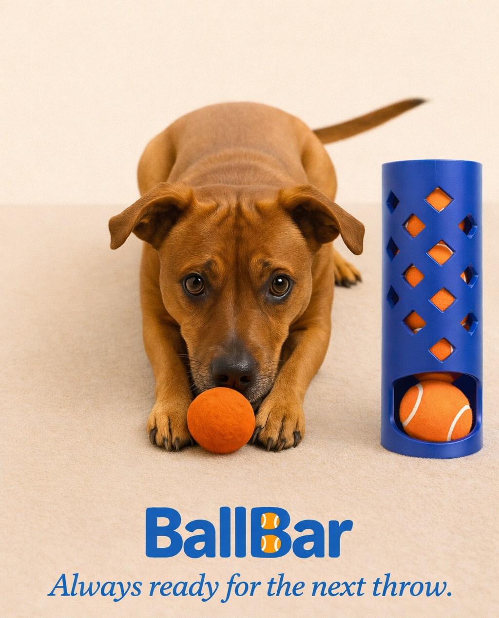 Zuma with BallBar